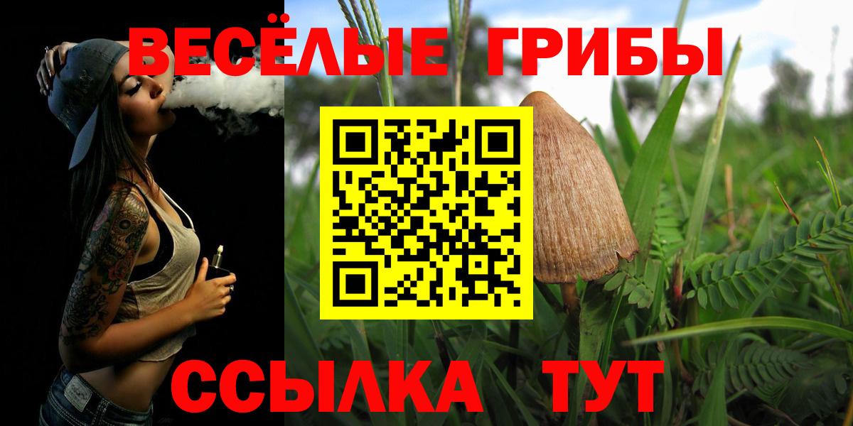 Псилоцибиновые грибы Magic Shrooms  Вход с VPN  сколько стоит  Всеволожск 